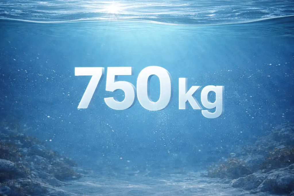 image used for 750 kg load-rated recovery line feature