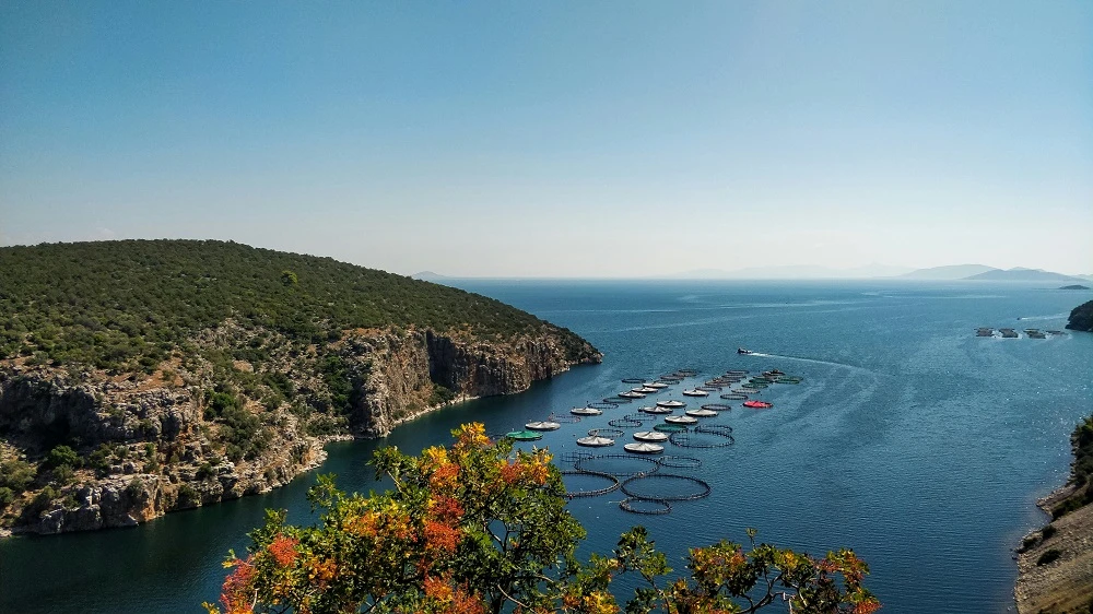 Image for Saronic Gulf