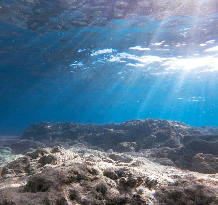 Seabed materials under the water